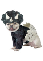 Stegosaurus Dino Pup Pet Costume - US 5728