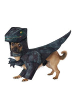 Pupasaurus Rex Pet Costume for Dogs - US 1231