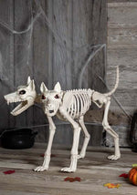 20-Inch Double Trouble Doberman Skeleton Dog Decoration - US 1651