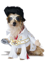 Elvis Viva Vegas Costume for Pets - US 1059