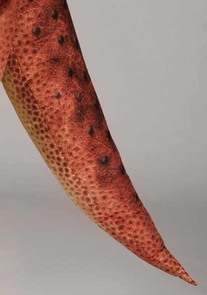 Carnotaurus Dinosaur Costume for Adults - US 7452