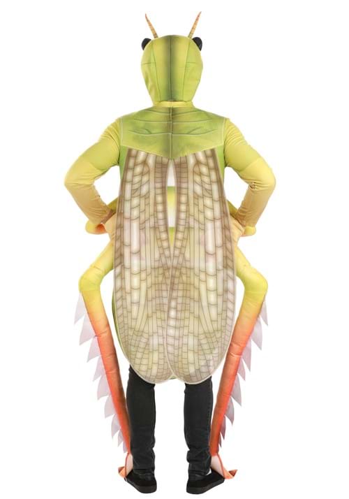 Deluxe Grasshopper Costume for Adults - US 4347