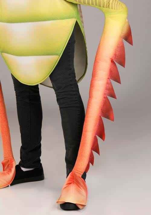 Deluxe Grasshopper Costume for Adults - US 4347