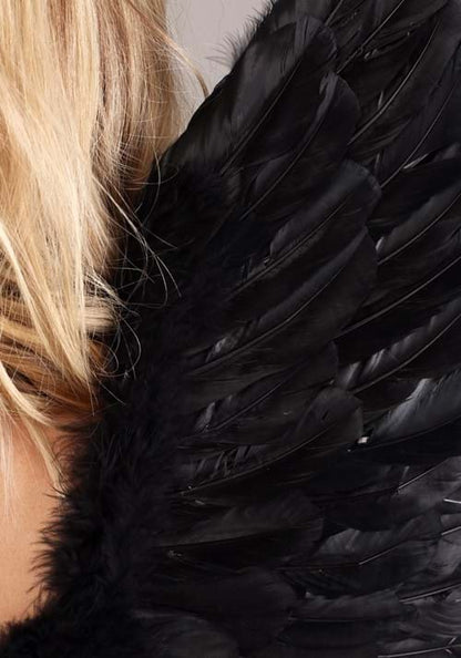 Fallen Black Angel Costume Wings - US 5491