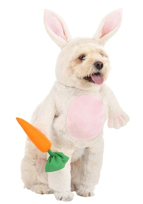 Fluffy Bunny Costume for Pets - US 9961