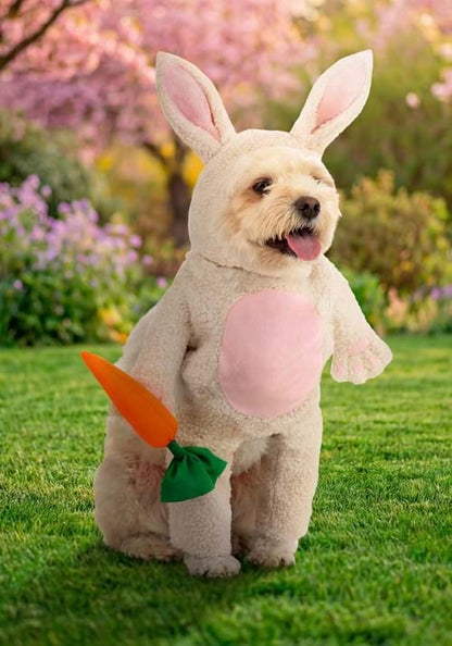 Fluffy Bunny Costume for Pets - US 9961