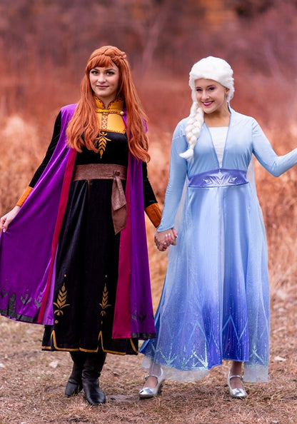 Women's Deluxe Frozen 2 Elsa Costume - US 7276