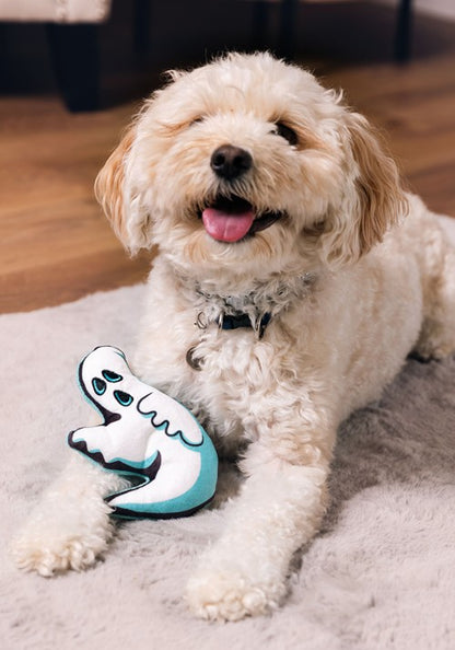 Ghost Squeaky Dog Toy - US 9709