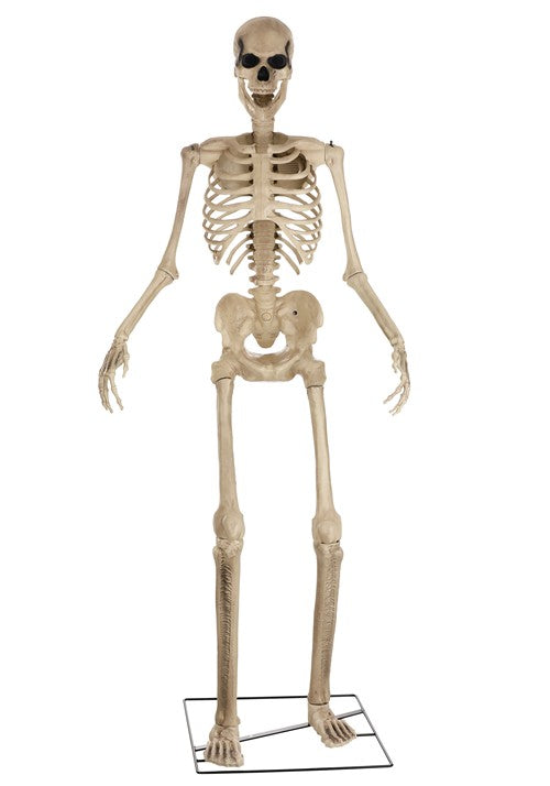 8FT Animated Giant Skeleton Decoration - US 7199