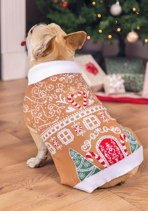Gingerbread Pet Holiday Sweater - US 7674