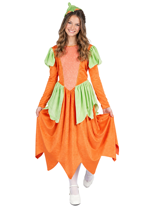 Girl's Pumpkin Patches Orange Costume Dress - US 6668
