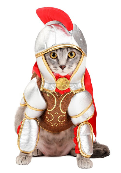 Gladiator Costume for Pets - US 9174
