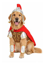 Gladiator Costume for Pets - US 9174