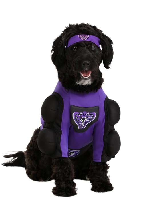 Dodgeball Pet Globo Gym Costume - US 7937