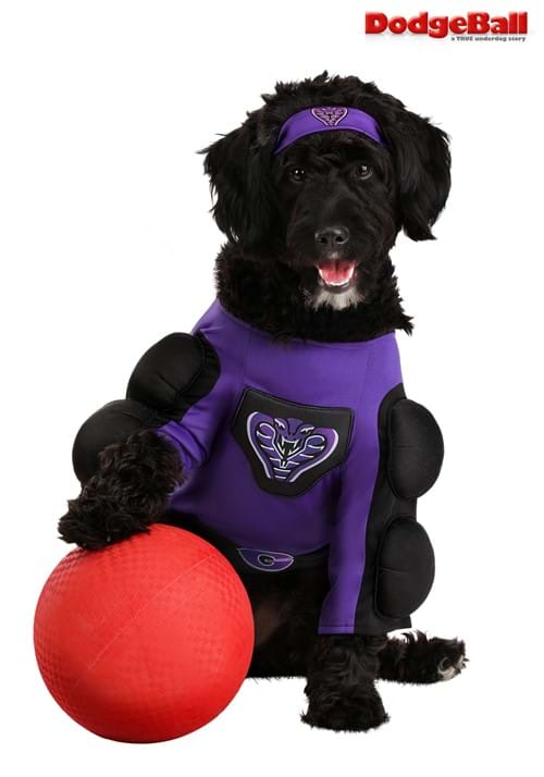 Dodgeball Pet Globo Gym Costume - US 7937
