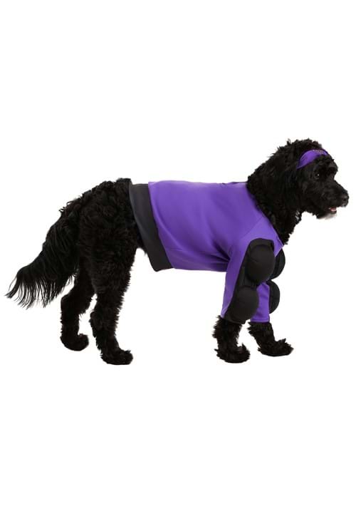 Dodgeball Pet Globo Gym Costume - US 7937