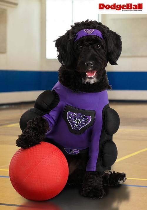 Dodgeball Pet Globo Gym Costume - US 7937