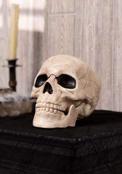 8-Inch Movable Glow in the Dark Skull Decoration - US 6296