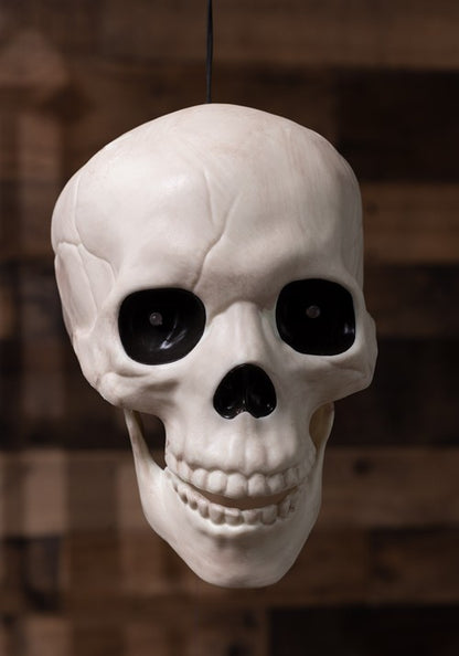 Glow in the Dark Talking Skull Halloween Decoration - US 3003
