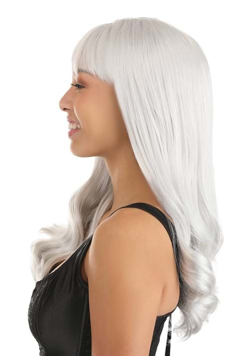 Gray Wavy Long Women's Wig - US 5163