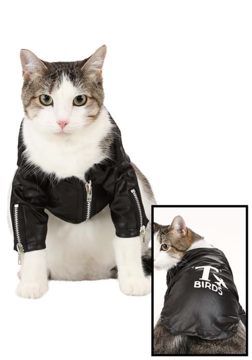 Grease Pet T-Birds Jacket Costume - US 0545