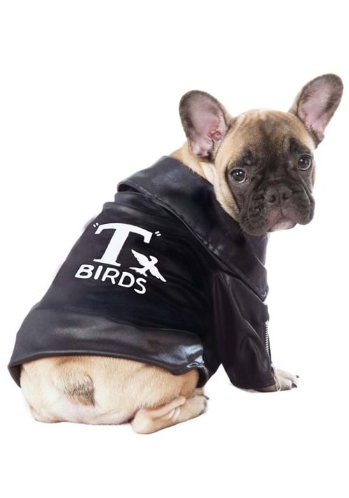 Grease Pet T-Birds Jacket Costume - US 0545