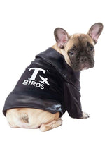 Grease Pet T-Birds Jacket Costume - US 0545