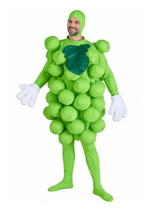 Green Grapes Costume - US 0642