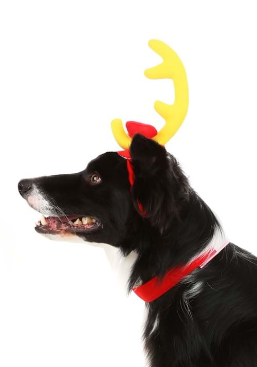 How the Grinch Stole Christmas Max Dog Costume - US 9755