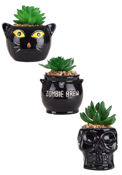 Cauldron, Cat & Skeleton Succulent Decorative Planter Set - US 4666