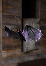 19-Inch Hanging Spooky Black Bat Decoration - US 0963