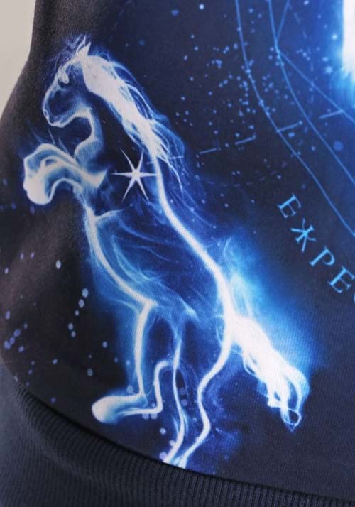 Harry Potter Patronus Ugly Sweatshirt for Adults - US 5078
