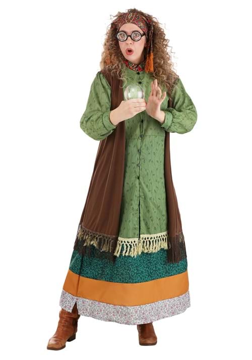 Plus Size Deluxe Harry Potter Professor Trelawney Women's Costume - US 4757