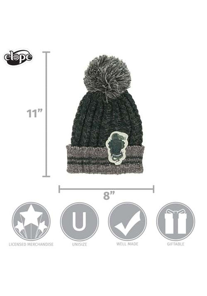 Slytherin Heathered Pom Harry Potter Beanie - US 3241