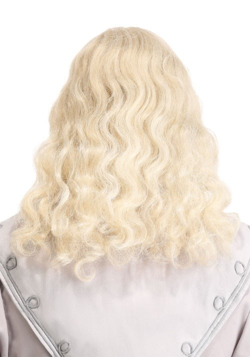 Adult Headmaster Wizard Costume Wig and Beard - US 6453