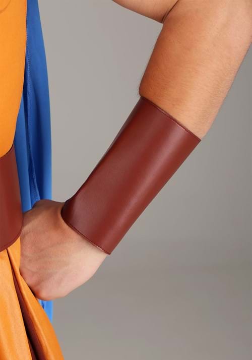 Disney Hercules Costume for Men - US 4636