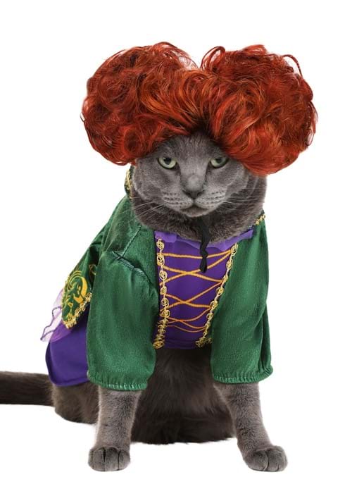 Disney Hocus Pocus Winifred Sanderson Pet Costume - US 7976