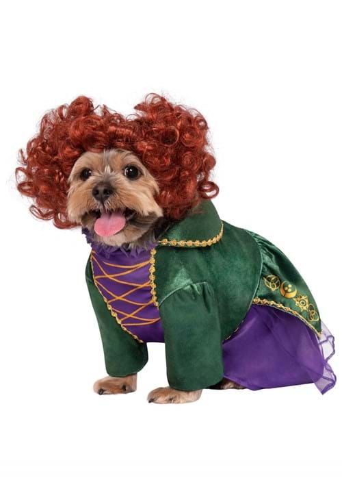 Disney Hocus Pocus Winifred Sanderson Pet Costume - US 7976