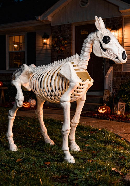 6FT Horse Skeleton Decoration - US 5516