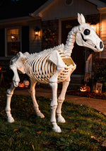 6FT Horse Skeleton Decoration - US 5516