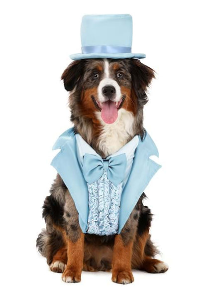 Iconic Light Blue Tuxedo Costume for Pets - US 5488