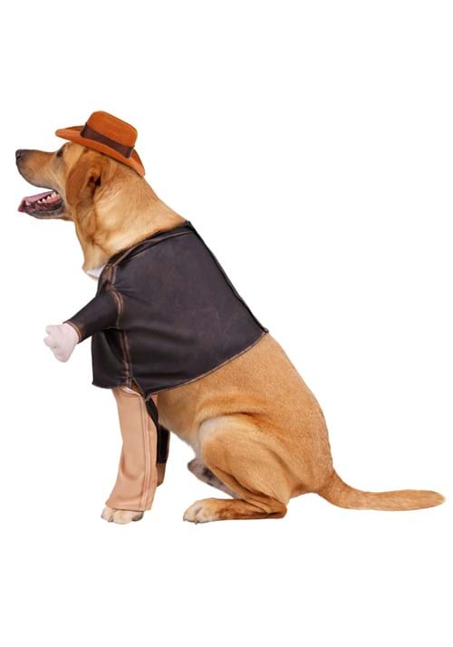 Indiana Jones Pet Costume - US 4685