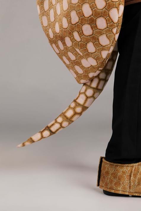 Kid's Armadillo Costume - US 8726