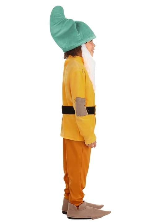 Disney Bashful Dwarf Costume for Kids - US 2169