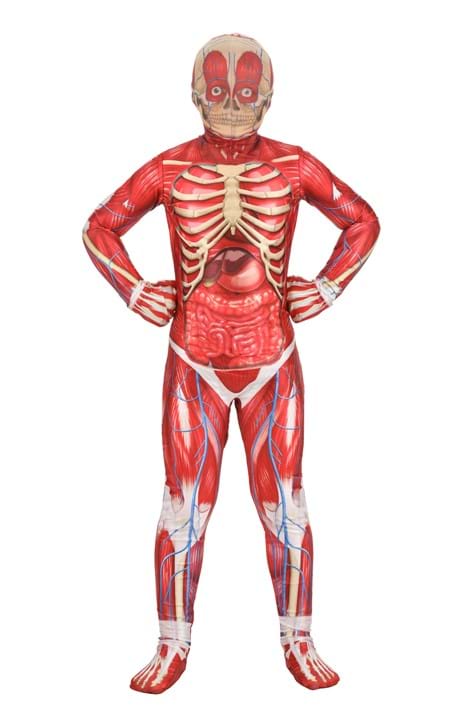 Anatomical Model Costume for Kids - US 0297