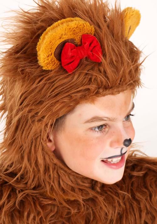 Storybook Lion Costume for Kids - US 7699