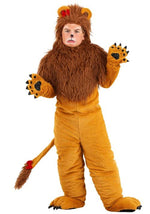 Storybook Lion Costume for Kids - US 7699