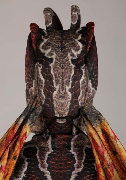Deluxe Kid's Dilophosaurus Costume - US 2206