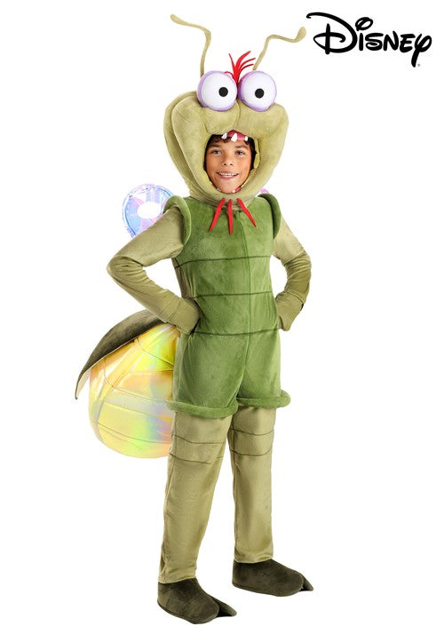 Deluxe Disney Princess and the Frog Ray Costume for Kids - US 5690
