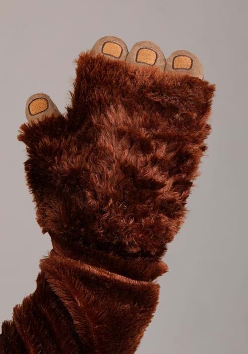 Kid's Deluxe Star Wars Ewok Costume - US 3049